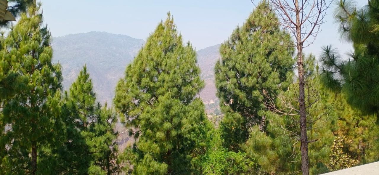 Blue Pine Orchards - Villas Lansdowne Εξωτερικό φωτογραφία
