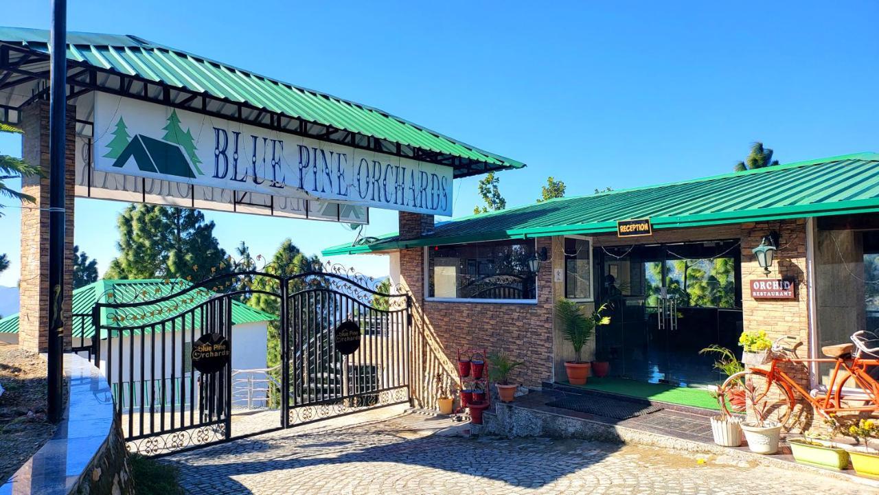 Blue Pine Orchards - Villas Lansdowne Εξωτερικό φωτογραφία